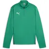 Image de Puma, Garçons, T-shirt de sport, teamGOAL Training 1/4 Zip Top Jr (116), Vert, 116