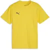 Image de Puma, Garçons, T-shirt de sport, teamGOAL Jersey Jr (164), Jaune, 164