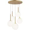 Image de Maytoni, Suspension, Basic form suspension, lampe à suspendre 5x E14 65cm couleur or (E14)