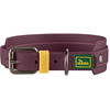 Image de Collier Hunter Havanna, violet taille M-L : 42-50cm tour de cou chien