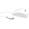 Image de KeySonic KSM-3020M-W - Souris - 5 boutons - filaire - USB - blanc