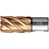 Image de BDS, Scie-cloche, Carottier HSSVarioPLUS 27,0mm Coupe.30mm Attache Weldon
