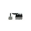 Image de Cordial Câble Interface SUB-d/8 XLR Mâles 5 M Câble subD 25/XLR