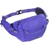 Image de Evoc, Unisexe, Sac banane, Hip Pack 3L, Violet