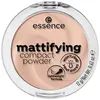 Image de essence Mattifying Poudre compacte 1000 g