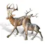 Image de Lot de 2 cerfs Rudy & Son