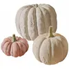 Image de Lot de 3 citrouilles Pumpkin