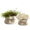 Image de Lot de 2 vases Riona