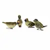 Image de Lot de 4 oiseaux décoratifs Pompaire