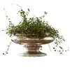 Image de Vase Loyère