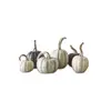 Image de Lot de 6 citrouilles déco Yokane, crème/vert/noir (11cm)