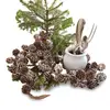 Image de Guirlande de pommes de pin Jacci