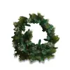 Image de Guirlande LED Derval, vert (180cm)