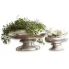 Image de Lot de 2 vases Loyère