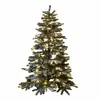 Image de Sapin de Noël Mannier, vert/blanc (240cm)