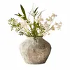 Image de Vase Champs