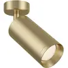 Image de Maytoni, Spot de plafond, Focus Plafonnier GU10 or mat, orientable Aluminium (GU10)