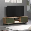 Image de Meuble TV 2 portes 2 niches décor chêne et vert - RYA