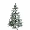 Image de Sapin de Noël Lokossa