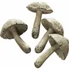 Image de Lot de 4 champignons Laval, crème (11.5cm)