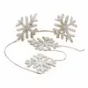 Image de Guirlande Snowflakes