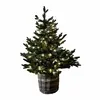 Image de Sapin décoratif Mantilly, vert (120cm)