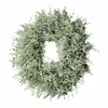 Image de Couronne Senailly