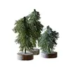 Image de Lot de 3 arbres Lonzac