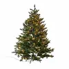 Image de Sapin de Noël Franck
