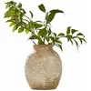 Image de Vase Sibinna