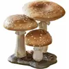 Image de Champignons décoratifs Harvelle