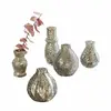 Image de Lot de 5 vases Petillantique
