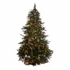 Image de Sapin de Noël Celindor
