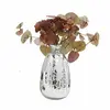 Image de Vase Zorelie