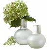 Image de Lot de 2 vases Nazira, blanc/argenté (20cm)