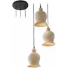 Image de Suspension Ziravet