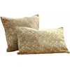 Image de Lot de 2 housses de coussins Nalefor