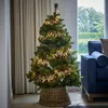 Image de Sapin de Noël Svalberg