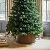 Image de Bordure de l"arbre de Noël Omeyra