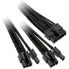 Image de be quiet! CP-6620 PCIe double câble pour les alimentations modulaires (60 cm, 6+2 broches PCI-Express), Câble interne (PC)