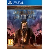 Image de Grand ages : medieval