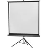 Image de Celexon Economy tripod screen - Écran de projection avec trépied - 1:1
