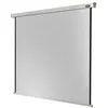 Image de Celexon Professional electric - Écran de projection - montable au plafond, montable sur mur - motorisé - 230 V - 64" (163 cm) - 1:1 - blanc