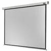 Image de Celexon Professional electric - Écran de projection - montable au plafond, montable sur mur - motorisé - 230 V - 113" (288 cm) - 4:3