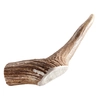 Image de Chewies Bois de cerf taille M - Friandises pour chien