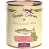 Image de Terra Canis 6 x 800 g pour chien - saumon, millet, pêche et herbes