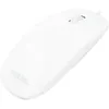 Image de LogiLink Slim - Souris - droitiers et gauchers - optique - 3 boutons - filaire - USB - blanc