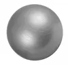 Image de Swiss ball - Ballon de gym 75cm Gris