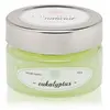 Image de OLORI Classic Aroma Eucalyptus Parfum d'ambiance 1000 g