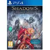 Image de Shadows Awakening